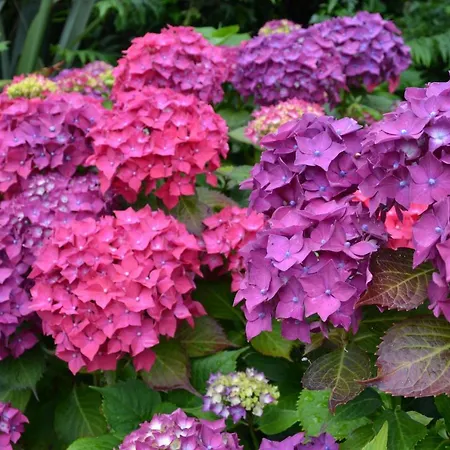 Guaire House 4* Cill Airne