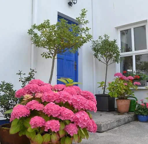 住宿加早餐酒店 基拉尼瓜惹住宿加早餐旅馆 基拉尼