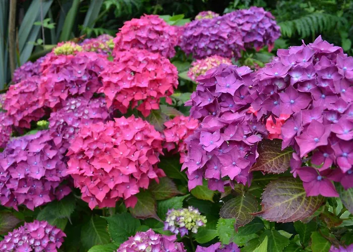 Guaire House 4* Cill Airne